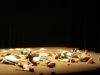 DSC05851.JPG