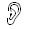 oreille.jpg